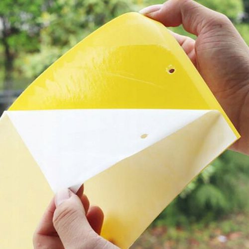 ŻÓŁTE LEPY DO DONICZEK ziemiórki OWADY skuteczne na Arena.pl