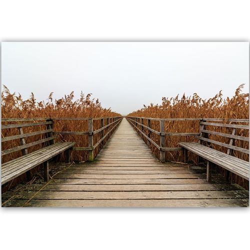 Deco Panel, Długi pomost 60x40 na Arena.pl