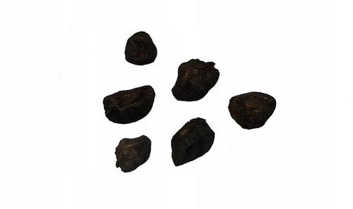 ZESTAW DO UPRAWY EUKALIPTUS SREBRNY DRZEWKO BONSAI NASIONA 5 SZT WIELOLETNI na Arena.pl