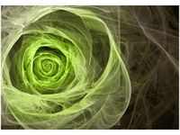 OBRAZ DRUK GREEN ROSE