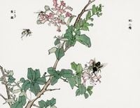 Plakat 65x50cm Końskie Muchy Morimoto Toko Japoński Vintage do Salonu