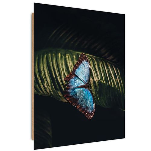 Deco Panel, Motyl na liściu 50x70 na Arena.pl