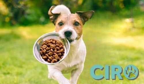 Karma sucha dla psa Ciro 10 kg wołowina wszystkie rasy Adult na Arena.pl