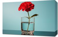 Obraz 60x40cm Kwiat w Szkle