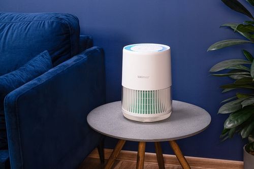 OCZYSZCZACZ POWIETRZA ZELMER JONIZACJA DLA ALERGIKÓW PURIFIER JONIZATOR na Arena.pl