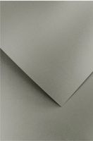 Karton Ozdobny Pearl Jasnosrebrny (20) 210G. 8553