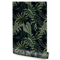 Tapeta Do Salonu Ciemne EGZOTYCZNE Liście Monstera Rośliny Natura