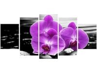 70CM 150CM OBRAZ 5 ELEM OSTOJA PIĘKNA ŚCIENNY