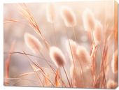 Obraz 90x70cm Kwiaty Słońca