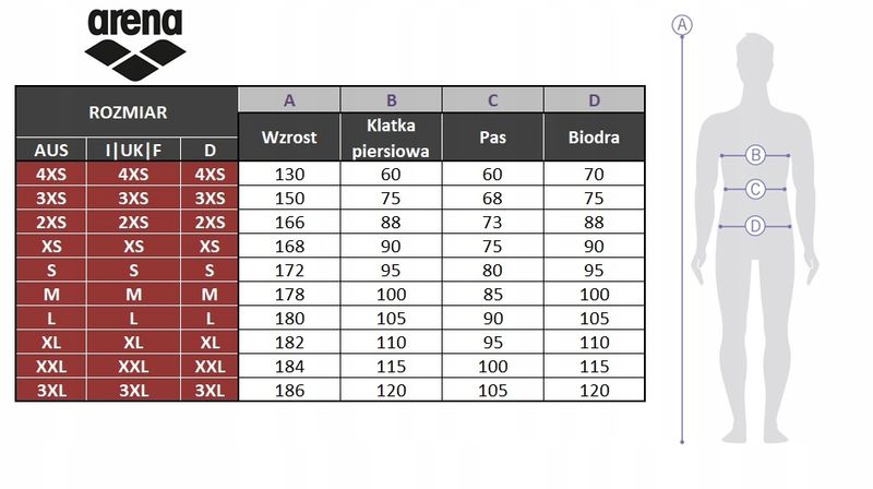 Koszulka T-Shirt męski basic Arena Performance R.L zdjęcie 5