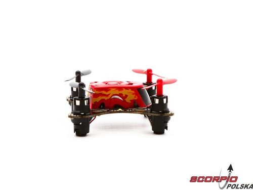 Faze RTF na Arena.pl