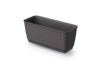 DONICZKA RATOLLA P - UMBRA - PP-DRL400PU