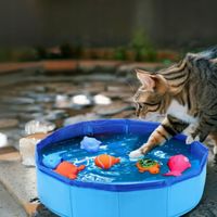 BASEN DLA KOTA z 6 rybkami, zestaw zabawek dla kota + ebook gratis