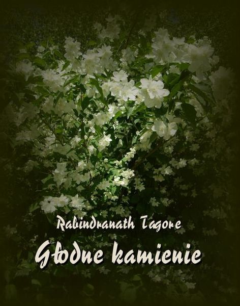 (epub, mobi) Głodne kamienie zdjęcie 1