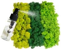 MECH + ODŻYWKA Chrobotek 500 0.5kg CZYSTY 3 KOLORY BOX + ODŻYWKA GRATIS