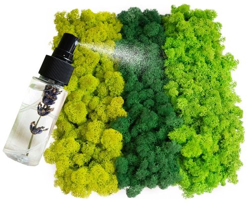 MECH + ODŻYWKA Chrobotek 500 0.5kg CZYSTY 3 KOLORY BOX + ODŻYWKA na Arena.pl