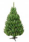 Choinka sztuczna Świerk Natura 150 cm Choinki SZTUCZNE swierk PREMIUM