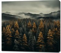 product-compare-59468578