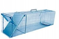 żywołapka pułapka lisy kuny wydry bobry koty skuteczna