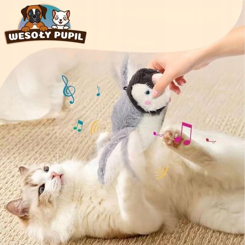 Zabawka dla kota INTERAKTYWNA latający PTAK z dźwiękiem na USB z kocimiętka na Arena.pl