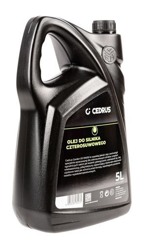 Olej silnikowy Cedrus 10W30 5L na Arena.pl