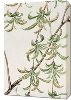 Obraz 40x60cm Yanagi, Morikaga Japoński Vintage do Salonu