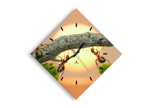Zegar Ścienny - Przyroda Mrówka - 40X40 Cm - C3Ad40X40-2104 na Arena.pl