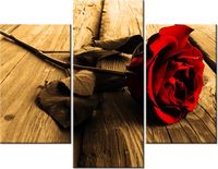 70 90CM OBRAZ 3 ELEM RÓŻA SEPII ŚCIENNY PŁÓTNO