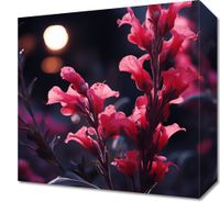 Obraz 30x30cm Wieczorny Blask