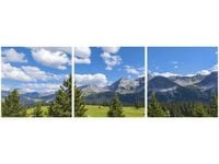 90 80CM OBRAZ T3 ELEM WIDOK ALPY TAMBAKO THE JAGUAR DRUK ŚCIENNY