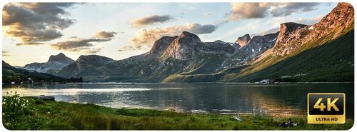 Kamera IP Dahua WDR IPC-HFW1439TL1-A-IL PoE 4Mpx Smart Dual Light FullColor na Arena.pl