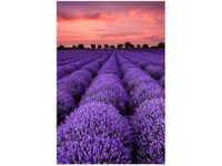 product-compare-58653164