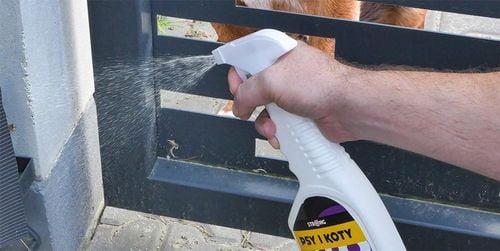 NATURALNY SPRAY ZNIECHĘCAJĄCY KOTY ODSTRASZACZ KOTÓW I PSÓW STRONG 500 na Arena.pl