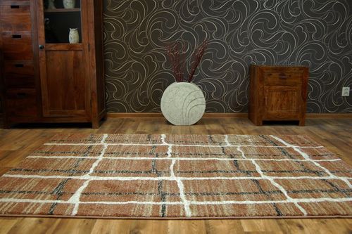 Dywan SHADOW 9359 rust / cream 80x150 cm na Arena.pl