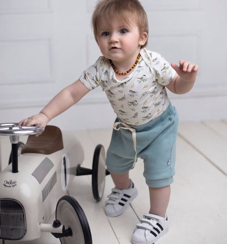 Body z krótkim rękawem Ptaszki 68 na Arena.pl