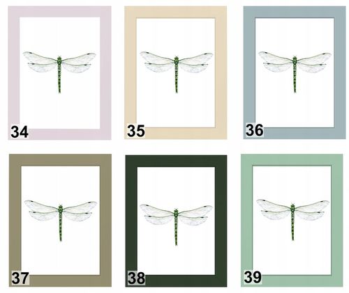 Italia Ramka 30x40 na zdjęcie z passe partout A4 21x29,7 cm różne na Arena.pl