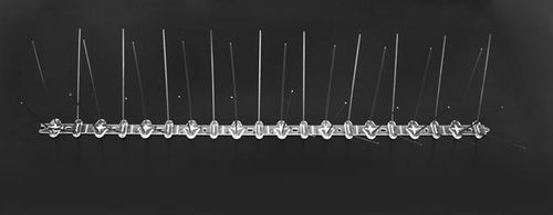 Kolce na ptaki na Arena.pl