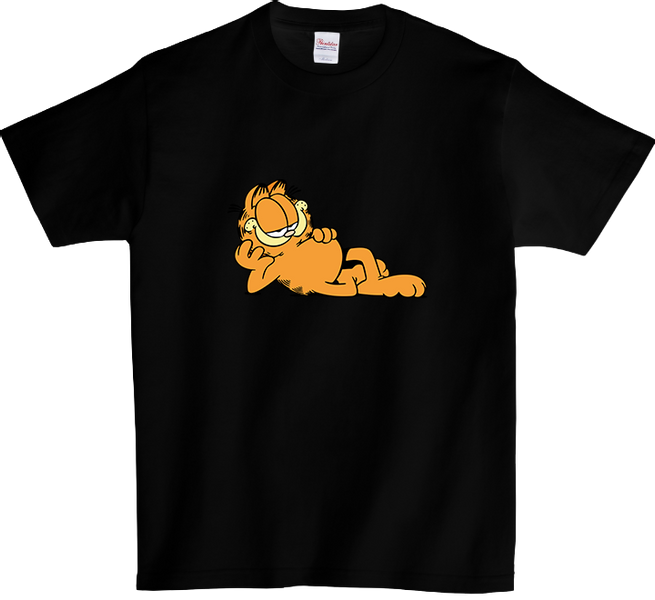 Koszulka T-shirt Garfield zdjęcie 1