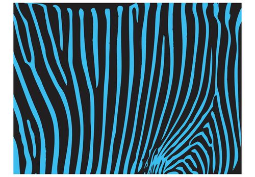 Fototapeta - Zebra pattern (turkus) 350x270 na Arena.pl