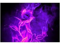 product-compare-58694007