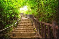 120CM 80CM OBRAZ ŚCIENNY SCHODAMI GÓRĘ