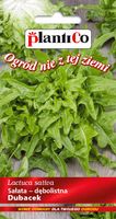NASIONA Sałata Dębolistna Zielona Dubacek 0,5g PLANTICO 404977