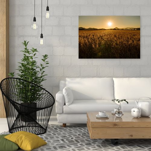 Obraz na płótnie – Canvas, pole kukurydzy 60x40 na Arena.pl