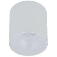 Downlight LAMPA sufitowa POINT TONE 8222 Nowodvorski metalowa OPRAWA spot tuba biała