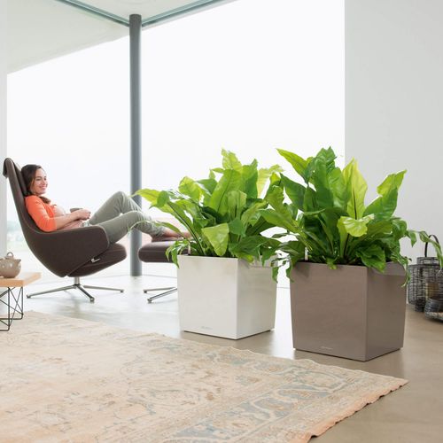 DONICA LECHUZA CUBE PREMIUM 40 BIAŁY na Arena.pl