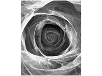 product-compare-58650267