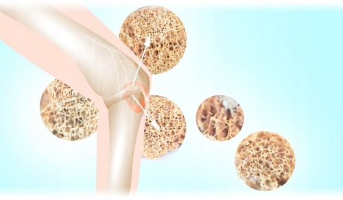 Avitale Witamina K2 - Zdrowy układ krążenia w kroplach - 30 ml na Arena.pl