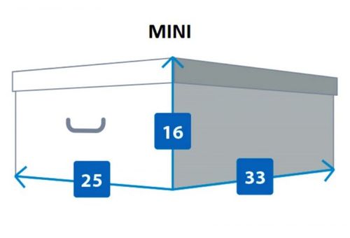 Pudełko kartonowe MINI KOTKI PERS na Arena.pl