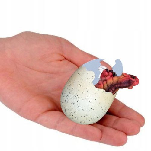 5x JAJO jajko dinozaura wykluwający rosnący DINOZAUR DUŻE NA PREZENT na Arena.pl