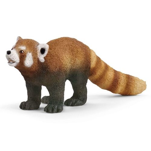 Panda Ruda na Arena.pl